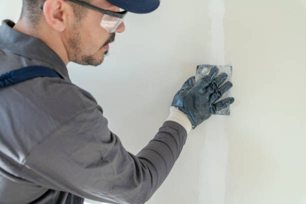 Best Fire-Damaged Drywall Repair  in Dansville, NY